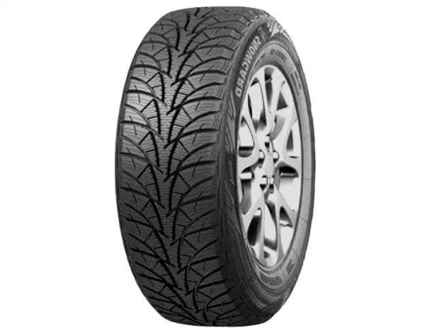 tyre Rosava Snowgoard id293 main photo